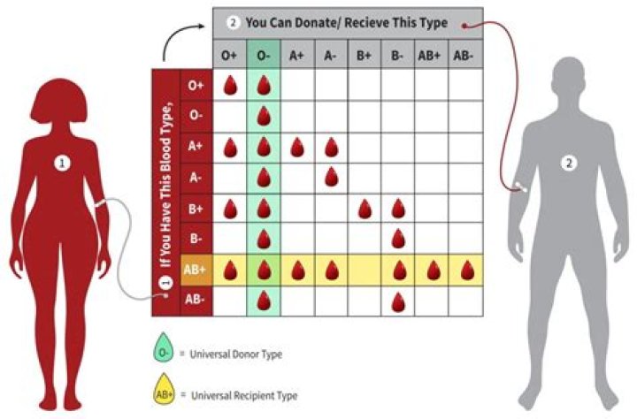
FDA Examines Reform to Allow Homos*xual and Bis*xual Males to Donate Blood 